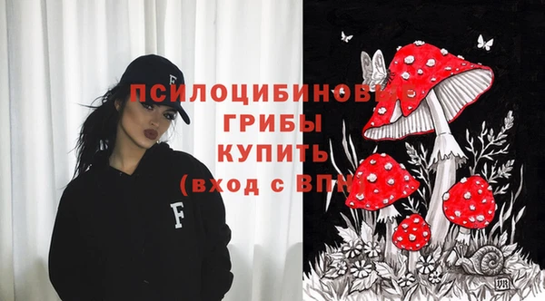 ГАЛЛЮЦИНОГЕННЫЕ ГРИБЫ Новочеркасск