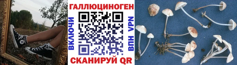 Галлюциногенные грибы Psilocybe  Октябрьский 