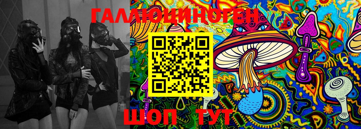 Галлюциногенные грибы Cubensis Октябрьский